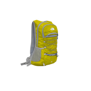 کوله پشتی کوهنوردی 25 لیتری North Face (نورث فیس) مدل No110