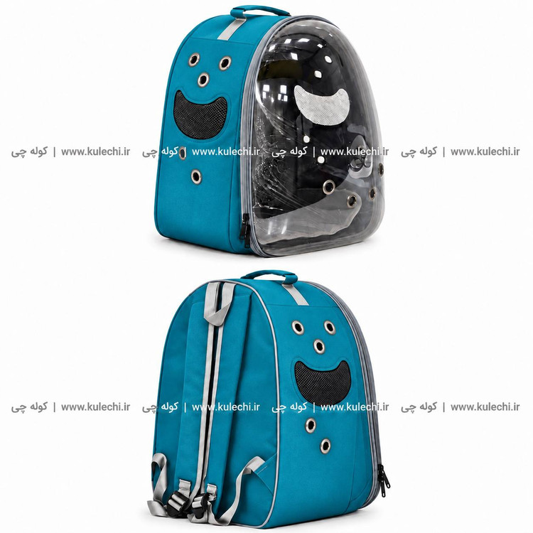 کوله پشتی حمل حیوانات اقتصادی بزرگ (BT pet) مدل B30