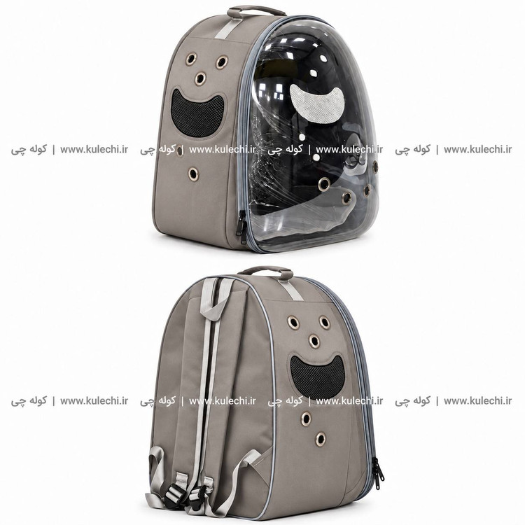 کوله پشتی حمل حیوانات اقتصادی بزرگ (BT pet) مدل B30