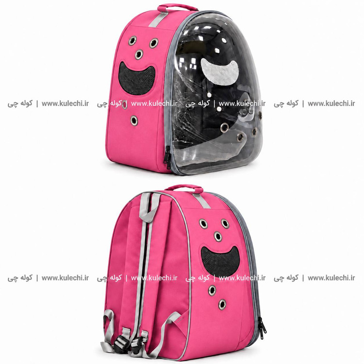 کوله پشتی حمل حیوانات اقتصادی بزرگ (BT pet) مدل B30