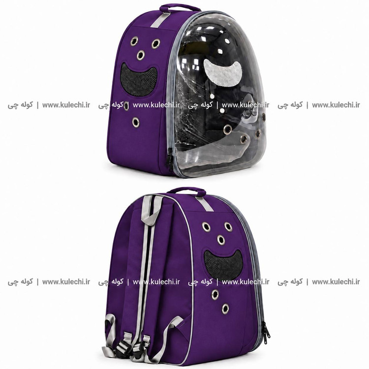 کوله پشتی حمل حیوانات اقتصادی بزرگ (BT pet) مدل B30