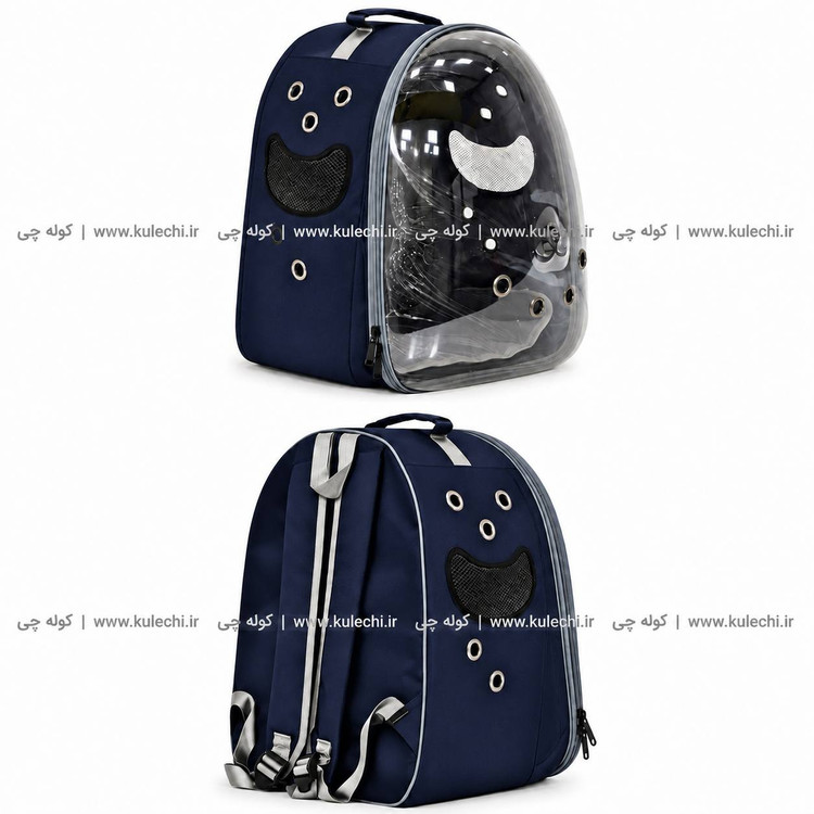 کوله پشتی حمل حیوانات اقتصادی بزرگ (BT pet) مدل B30