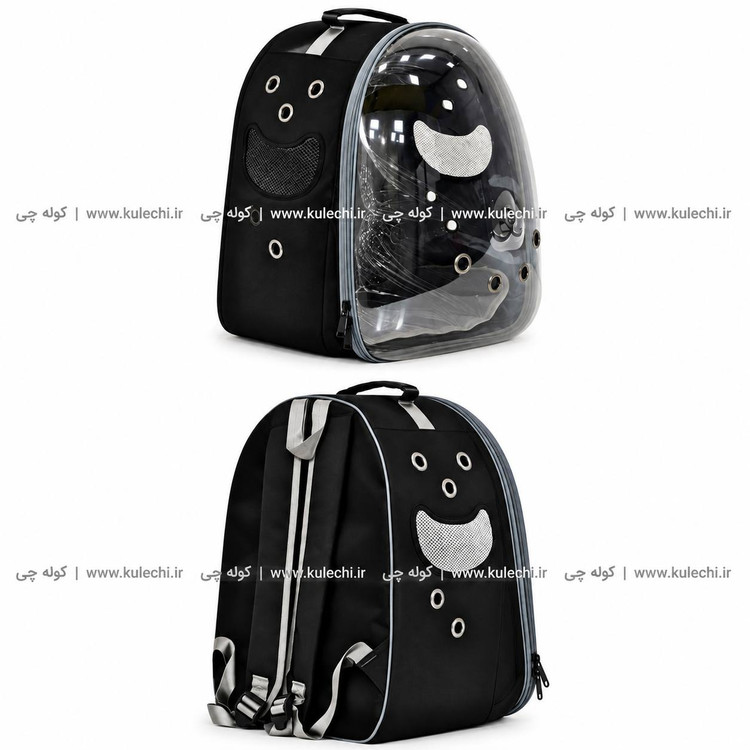 کوله پشتی حمل حیوانات اقتصادی بزرگ (BT pet) مدل B30